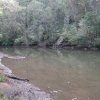 Marramarra creek, near Biddy Lewis' holding